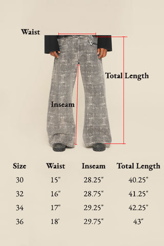 Dusted Denim Pants